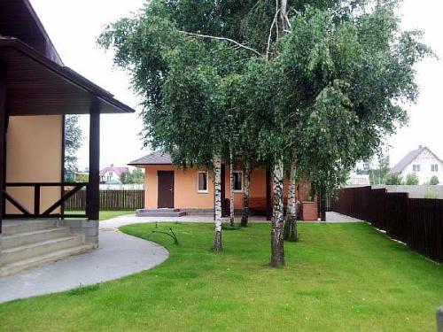 Правила посадки деревьев в городе. Важность соблюдения дистанций при посадке деревьев и кустарников