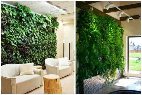 Фитостена искусственная. Фитостена и фитомодуль своими руками: особенности современного эко-дизайна