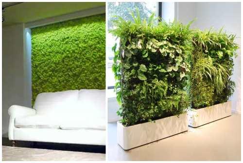 Фитостена искусственная. Фитостена и фитомодуль своими руками: особенности современного эко-дизайна