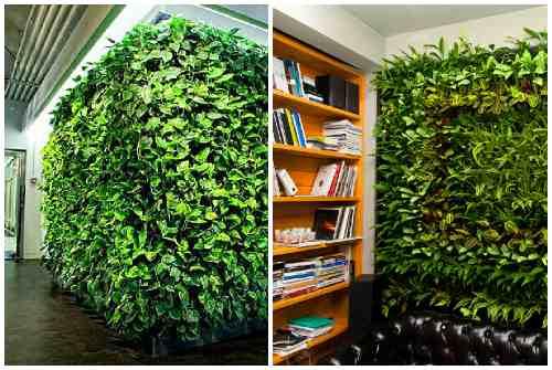 Фитостена искусственная. Фитостена и фитомодуль своими руками: особенности современного эко-дизайна