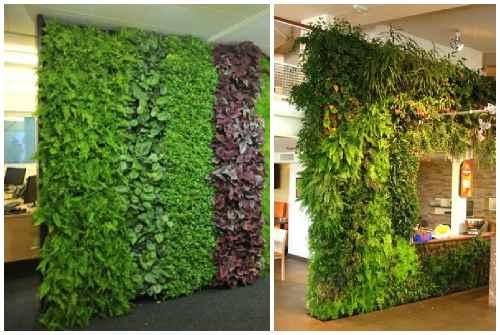 Фитостена искусственная. Фитостена и фитомодуль своими руками: особенности современного эко-дизайна