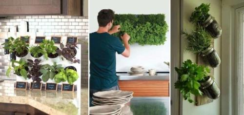 Фитостена в квартире. Как подбирать растения