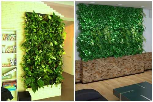 Фитостена искусственная. Фитостена и фитомодуль своими руками: особенности современного эко-дизайна