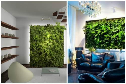 Фитостена искусственная. Фитостена и фитомодуль своими руками: особенности современного эко-дизайна