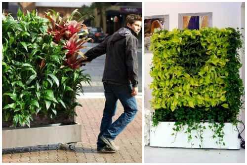 Фитостена искусственная. Фитостена и фитомодуль своими руками: особенности современного эко-дизайна