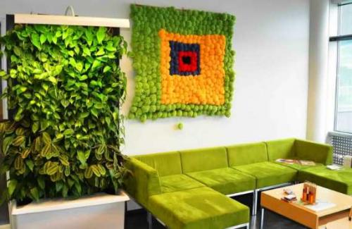 Фитостена искусственная. Фитостена и фитомодуль своими руками: особенности современного эко-дизайна