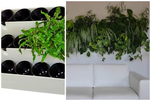 Фитостена искусственная. Фитостена и фитомодуль своими руками: особенности современного эко-дизайна