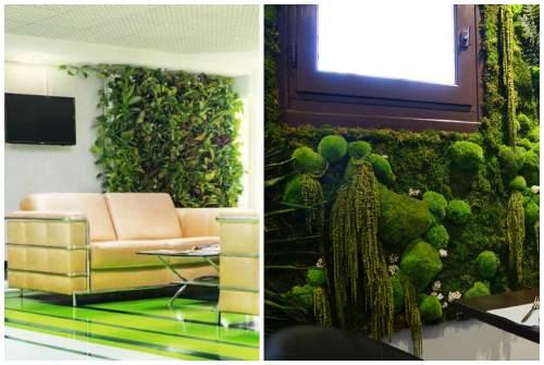 Фитостена искусственная. Фитостена и фитомодуль своими руками: особенности современного эко-дизайна