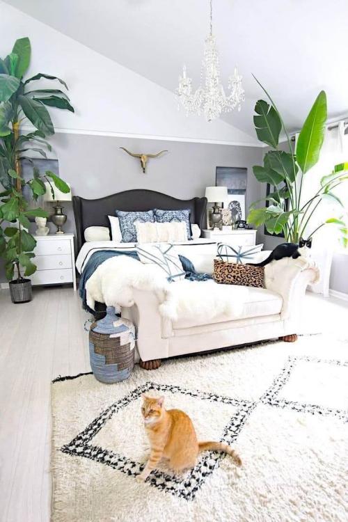 Оформление интерьера цветами в горшках на подоконниках. Оформление интерьера с помощью комнатных растений