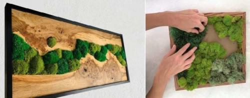 Фитостена в квартире. Как подбирать растения