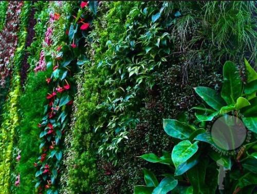 Фитостена. Дизайн интерьера и архитектура