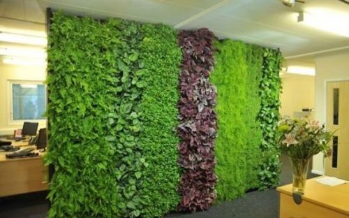 Фитостена. Дизайн интерьера и архитектура