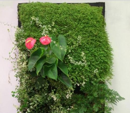 Фитостена. Дизайн интерьера и архитектура