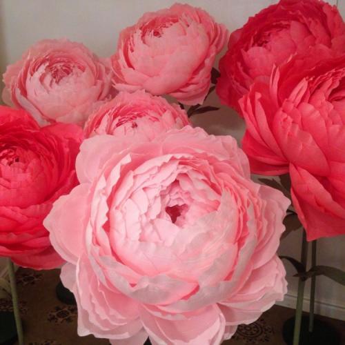 Цветы на стене декор. Цветы на стене — советы по применению цветов в дизайне интерьера. Красивые сочетания и интересные варианты оформления (85 фото + видео)