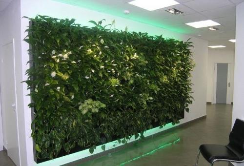 Фитостена. Дизайн интерьера и архитектура