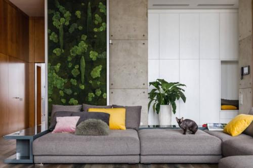 Живая стена из растений. Фитостена в интерьере. Какие виды вертикального озеленения бывают? 04 Живая стена из растений. Фитостена в интерьере. Какие виды вертикального озеленения бывают? 04