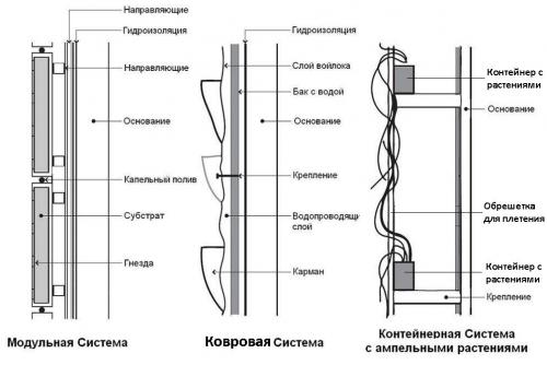 Зеленая стена из растений в квартире. Варианты оформления интерьера квартиры с помощью вертикального озеленения