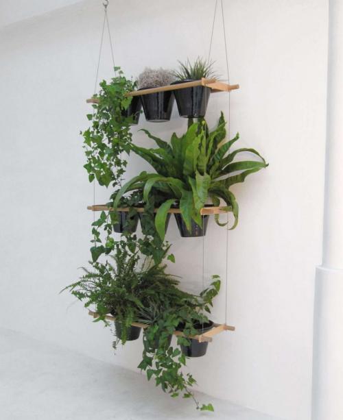 Вертикальное озеленение в интерьере квартиры или дома. Варианты оформления интерьера квартиры с помощью вертикального озеленения