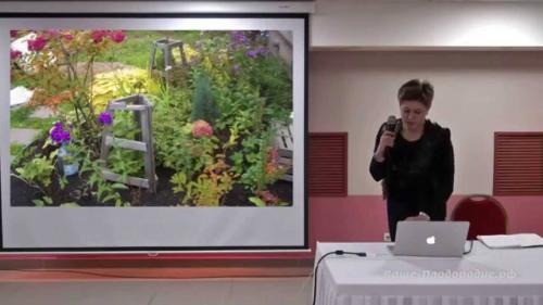 Посадка декоративных растений. Посев и посадка садовых цветочных растений