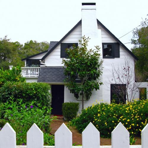 Кусты для ландшафтного дизайна. Кустарники для дачи — 75 фото выращивания своими руками популярных декоративных видов