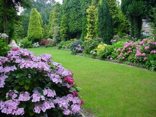 Кусты для ландшафтного дизайна. Кустарники для дачи — 75 фото выращивания своими руками популярных декоративных видов