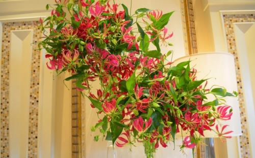 10 лучших быстрорастущих вьющихся цветов для забора. Многолетние 15