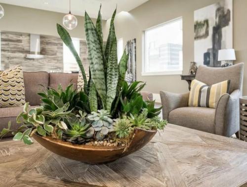 Как использовать растения в интерьере. Как правильно использовать растения в интерьере 01 Как использовать растения в интерьере. Как правильно использовать растения в интерьере 01