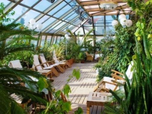 Как использовать растения в интерьере. Как правильно использовать растения в интерьере 29 Как использовать растения в интерьере. Как правильно использовать растения в интерьере 29