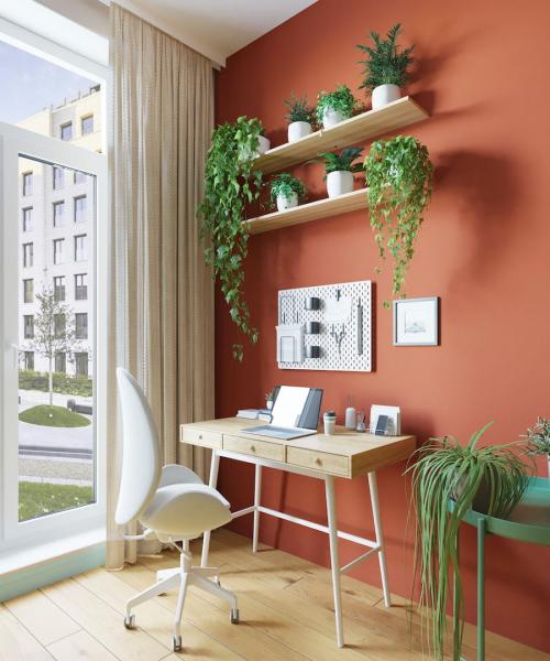 Комнатные цветы и растения в интерьере квартиры и дома. Комнатные растения в интерьере квартиры и дома 13 Комнатные цветы и растения в интерьере квартиры и дома. Комнатные растения в интерьере квартиры и дома 13