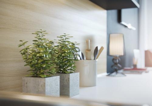 Роль комнатных растений в интерьере