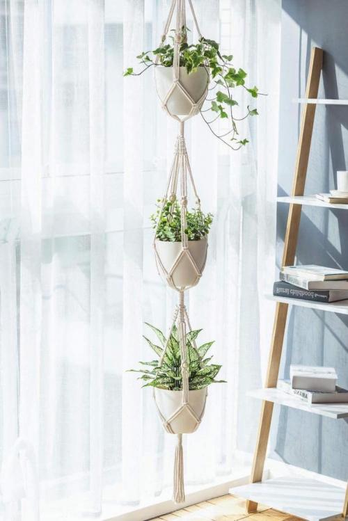 Комнатные цветы и растения в интерьере квартиры и дома. Комнатные растения в интерьере квартиры и дома 12 Комнатные цветы и растения в интерьере квартиры и дома. Комнатные растения в интерьере квартиры и дома 12