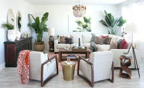 Роль комнатных растений в интерьере