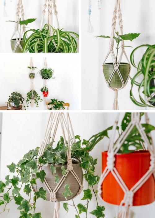 Комнатные цветы и растения в интерьере квартиры и дома. Комнатные растения в интерьере квартиры и дома 11 Комнатные цветы и растения в интерьере квартиры и дома. Комнатные растения в интерьере квартиры и дома 11