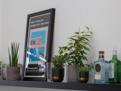 Комнатные цветы и растения в интерьере квартиры и дома. Комнатные растения в интерьере квартиры и дома