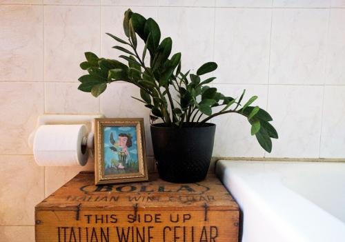 Комнатные цветы и растения в интерьере квартиры и дома. Комнатные растения в интерьере квартиры и дома