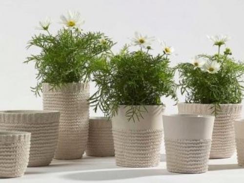 Цветочные горшки в интерьере. Цветочные горшки: виды и рекомендации по выбору 08