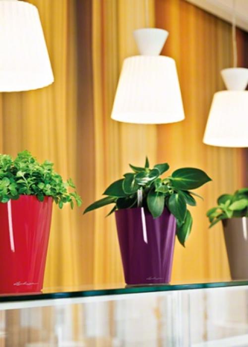 Цветочные горшки в интерьере. Цветочные горшки: виды и рекомендации по выбору 02