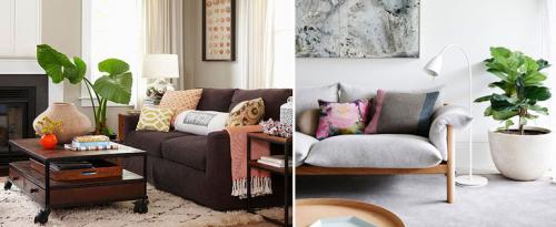 Белые горшки для цветов в интерьере. Ошибки дизайна. Растения в интерьере.