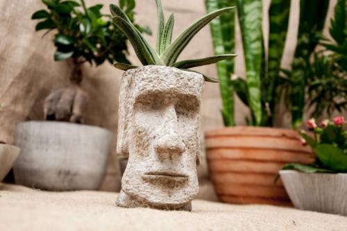 Высокие горшки для цветов в интерьере. Нюансы использования кашпо