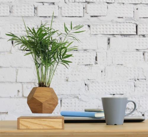 Красивые цветочные горшки. Выбор горшка для цветов