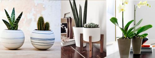 Белые горшки для цветов в интерьере. Ошибки дизайна. Растения в интерьере.