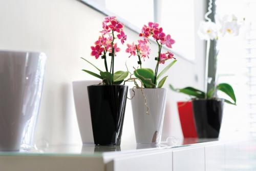 Красивые цветочные горшки. Выбор горшка для цветов