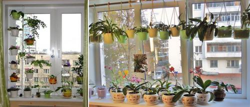 Белые горшки для цветов в интерьере. Ошибки дизайна. Растения в интерьере.