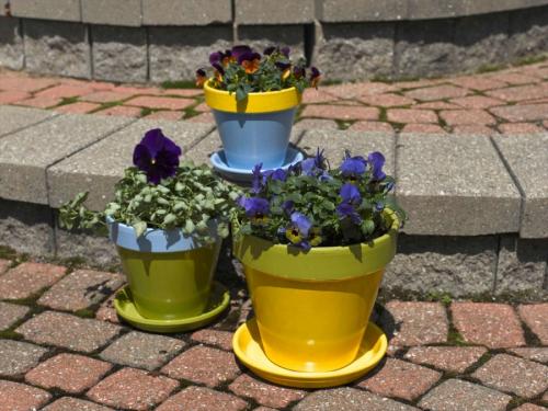 Красивые цветочные горшки. Выбор горшка для цветов