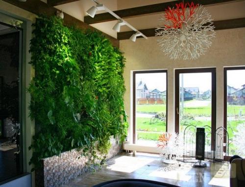 Живая стена своими руками. Какие бывают виды «зеленой стены»?