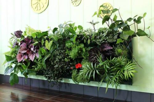 Как сделать стену из искусственной зелени. Гидропонный способ формирования фитокомпозиций
