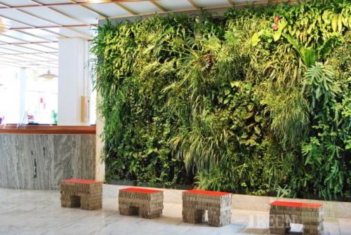 Живая стена своими руками. Какие бывают виды «зеленой стены»?