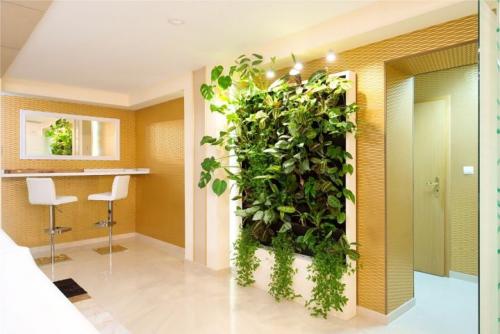 Как разместить комнатные растения в интерьере. Какие цветы лучше разместить в разных комнатах в интерьере квартиры? 02 Как разместить комнатные растения в интерьере. Какие цветы лучше разместить в разных комнатах в интерьере квартиры? 02