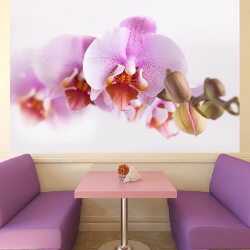 Цветы на стене рисунок. Цветы на стене — 68 фото украшения поверхностей цветочным узором