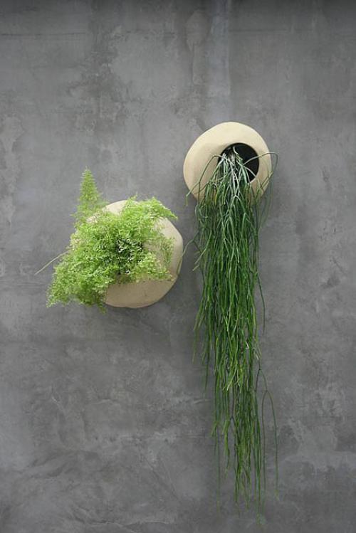 10 отличных идей для украшения стен квартиры растениями.